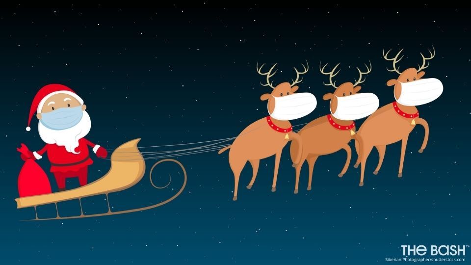 Santa Zoom Background