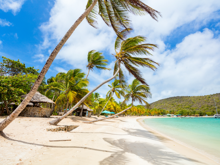 St. Vincent & the Grenadines Honeymoon Destination