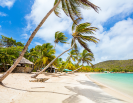 St. Vincent & the Grenadines Honeymoon Destination