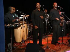 THE TRIBE BAND & SHOW - Motown Band - Temple Hills, MD - Hero Gallery 3