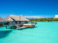 Tahiti Bora bora Overwater bungalow villa