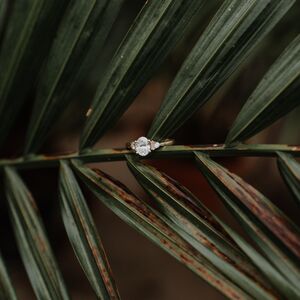 Gallery Photo 14
