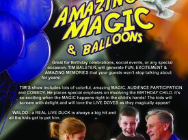 Balster Magic Productions Inc. - Magician - Westmont, IL - Hero Gallery 3