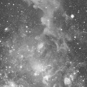 Gallery Photo 20