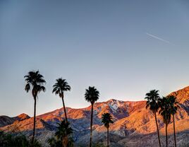 palm springs scenery