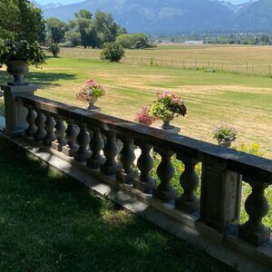 Gallery Photo 118