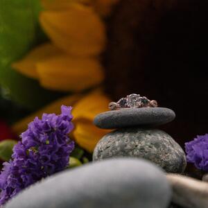 Gallery Photo 46