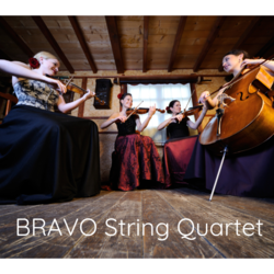 BRAVO String QUARTET, profile image