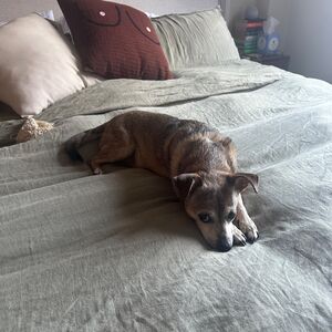 Gallery Photo 35