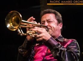 Grammy Award Winning - Pacific Mambo Orchestra - Latin Band - San Francisco, CA - Hero Gallery 4