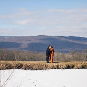 Gallery Photo 27