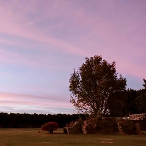 Gallery Photo 35