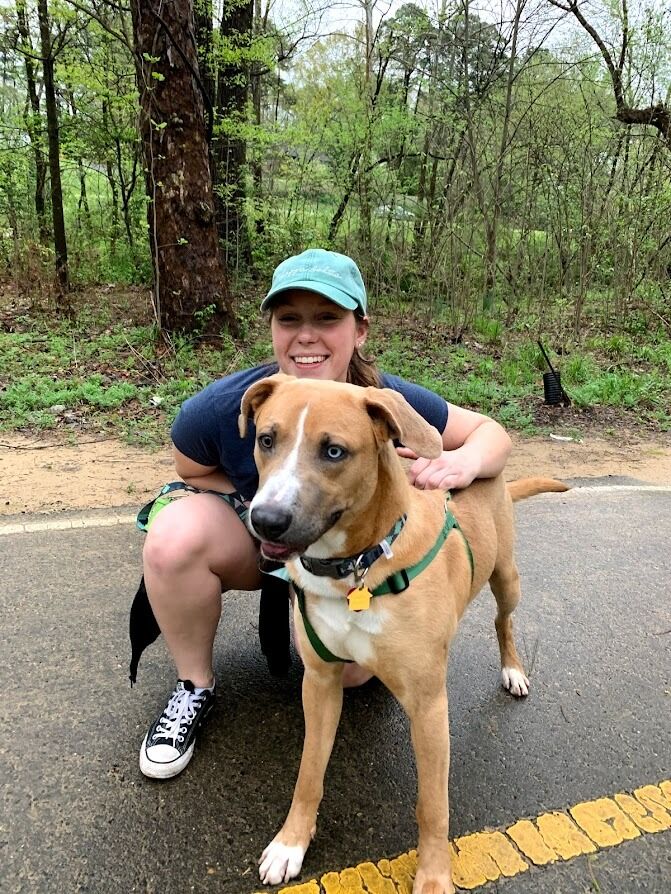 What better time to get a free dog than COVID? Duke Silver joins the family