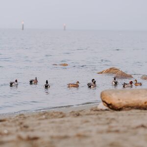Gallery Photo 9