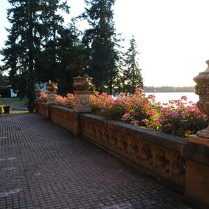 Gallery Photo 15