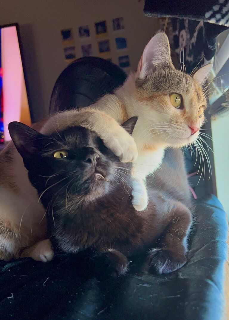 Butter and Toast