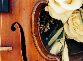 Solo Violin with Pam - Violinist - Lynchburg, VA - Hero Gallery 1
