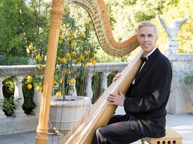 Dr. Ted Nichelson, Your Harpist - Harpist - Los Angeles, CA - Hero Gallery 1