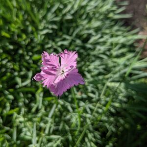 Gallery Photo 26