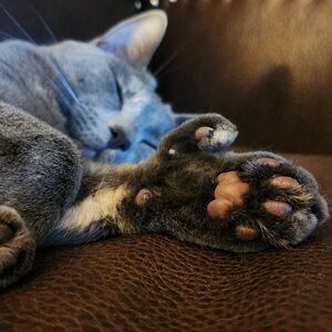Gallery Photo 20