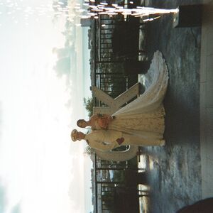 Gallery Photo 86