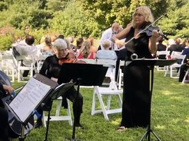 Quinn Ensembles - String Quartet - Asheville, NC - Hero Gallery 1