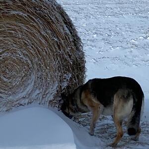 Gallery Photo 21
