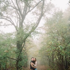 Gallery Photo 9