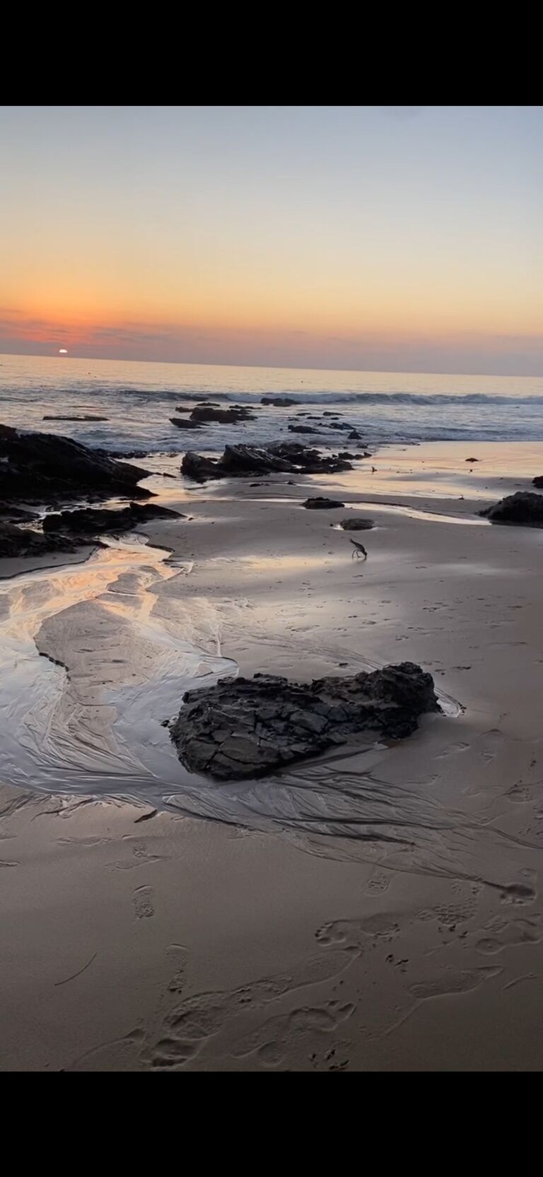 Crystal Cove State Beach at Sunset 