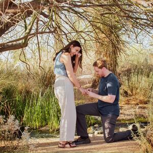 Gallery Photo 38
