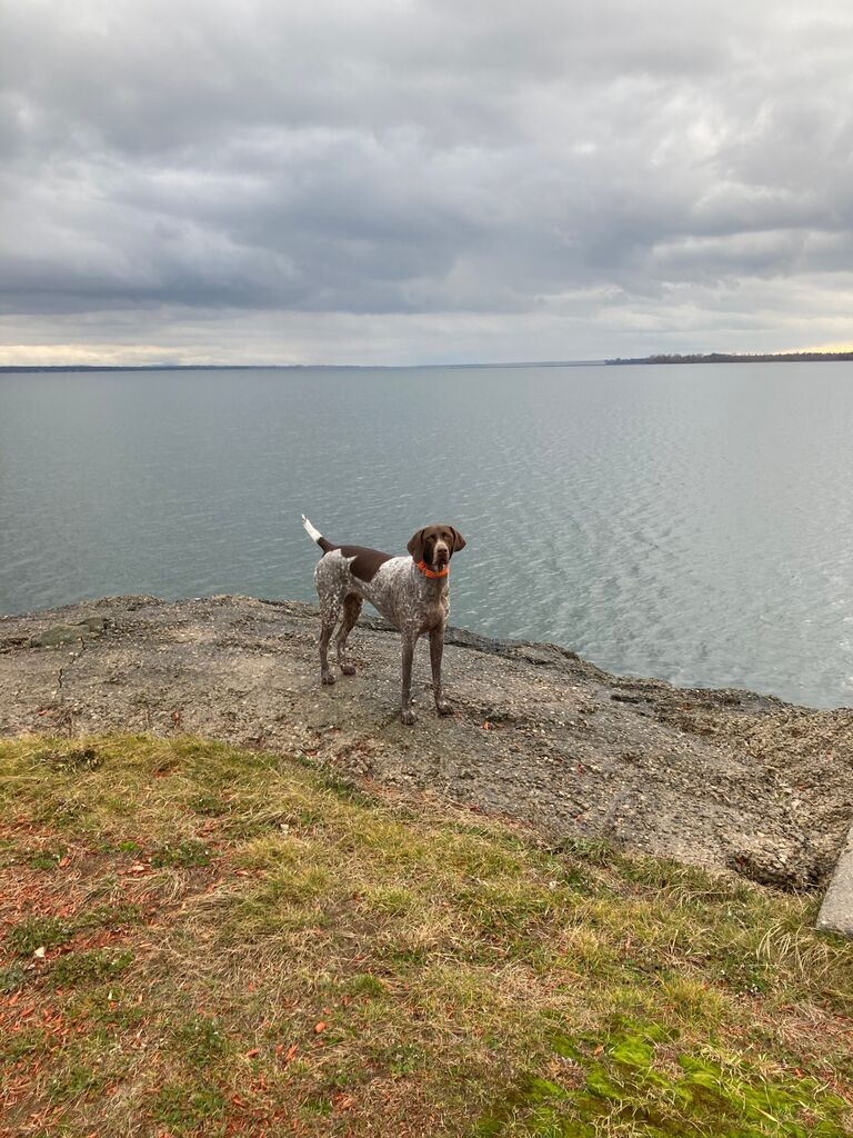 Seth, Colter and Maggie go to Rouses Point to meet Megan's family