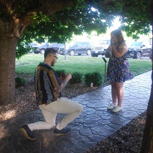 Gallery Photo 19