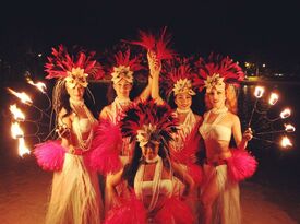 Hula dancers  and Tahitian fire dancers N.Y, N.J - Hawaiian Dancer - New York City, NY - Hero Gallery 1