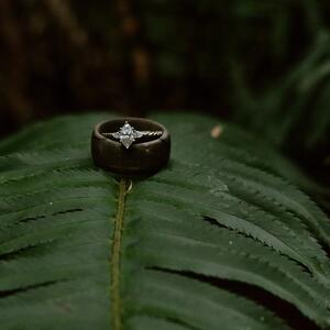 Gallery Photo 14