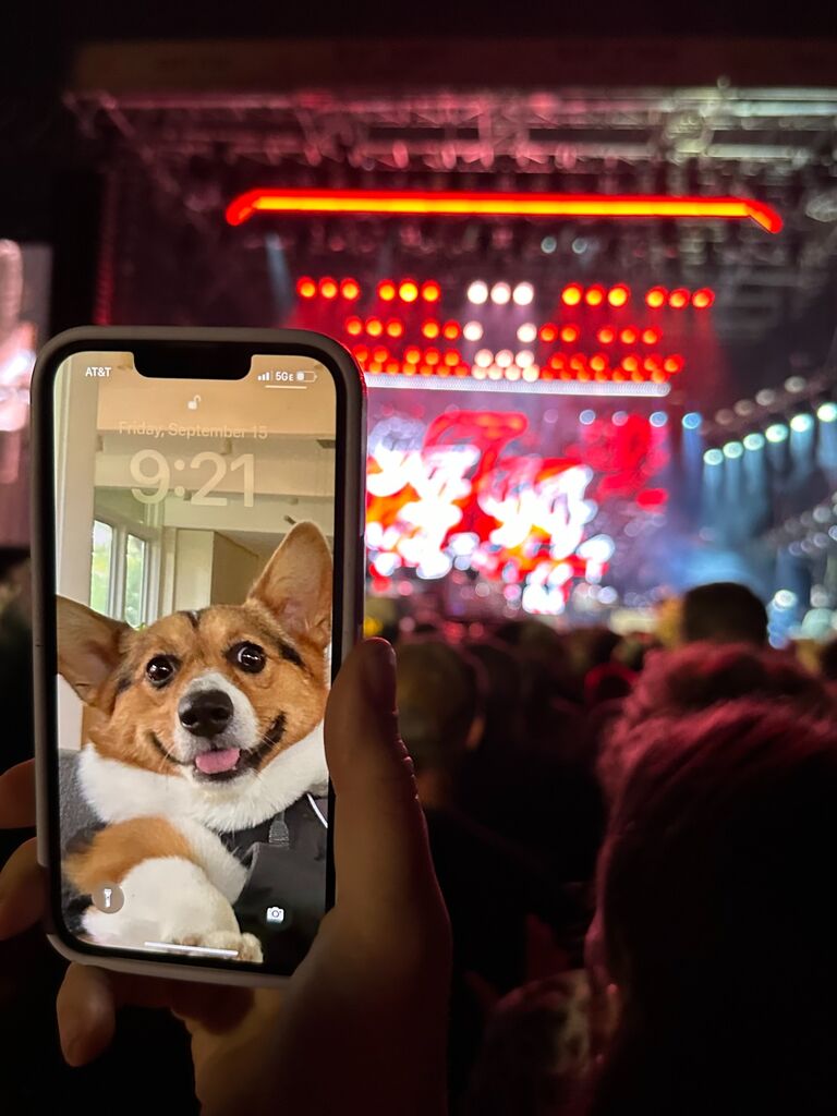 Celebrity cameo: We brought Molly to see Foo Fighters