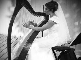 Julie Crystal - Music for All Occasions - Harpist - Danville, PA - Hero Gallery 2