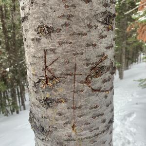 Gallery Photo 28