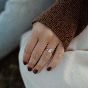Gallery Photo 16