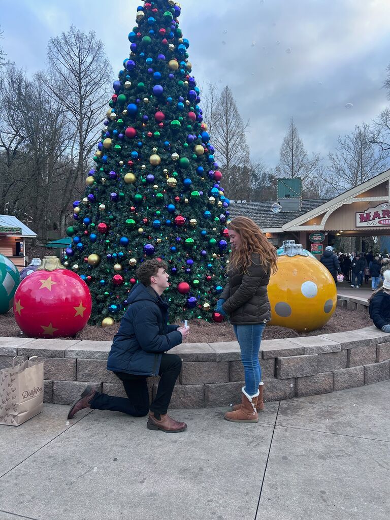 The day Hailey and John-Mark got engaged (at their special place, Dollywood)!