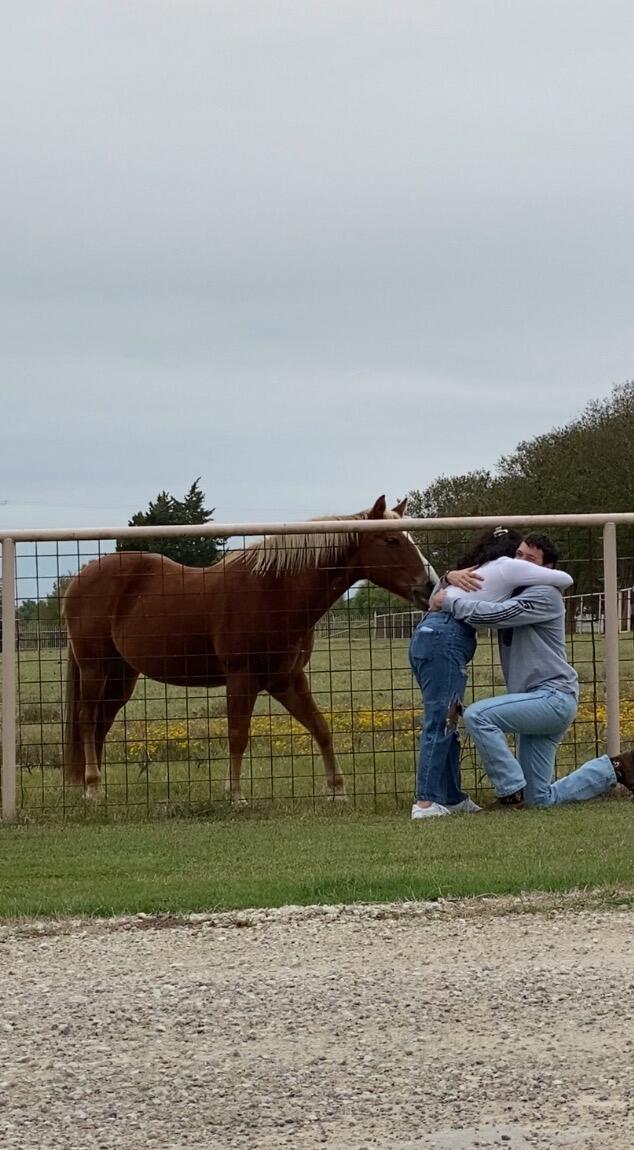 Nick proposed when Joceline least expected it! (Buttercup our neighbors horse had a front row seat!).