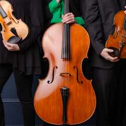 Loring String Quartet, profile image