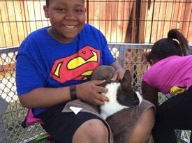 Fannie's Farm Friends - Petting Zoo - Liberty Hill, TX - Hero Gallery 3