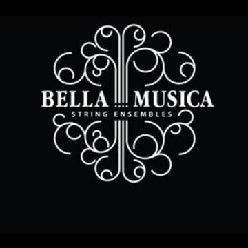 Bella Musica String Ensembles - String Quartet - Reading, PA - Hero Main