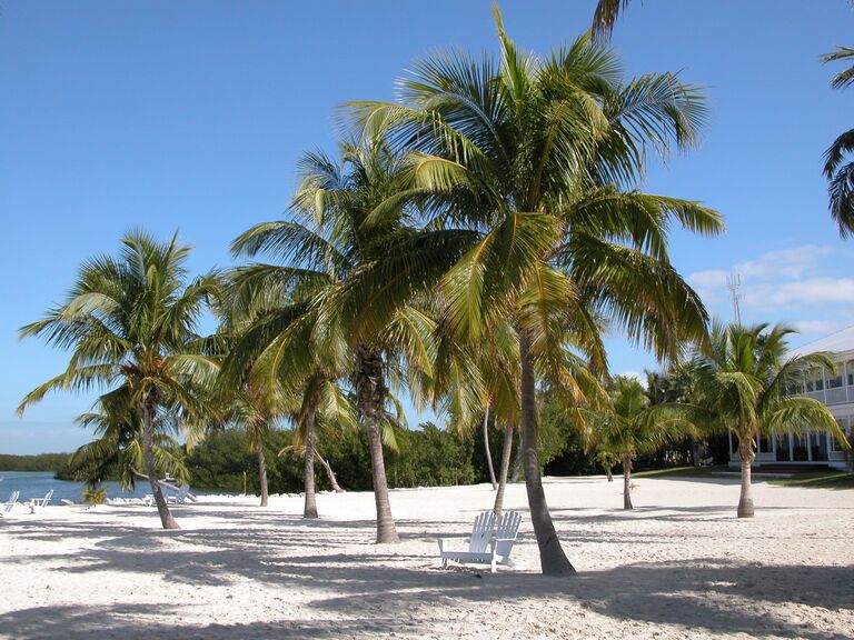 US wedding destination Florida Keys 