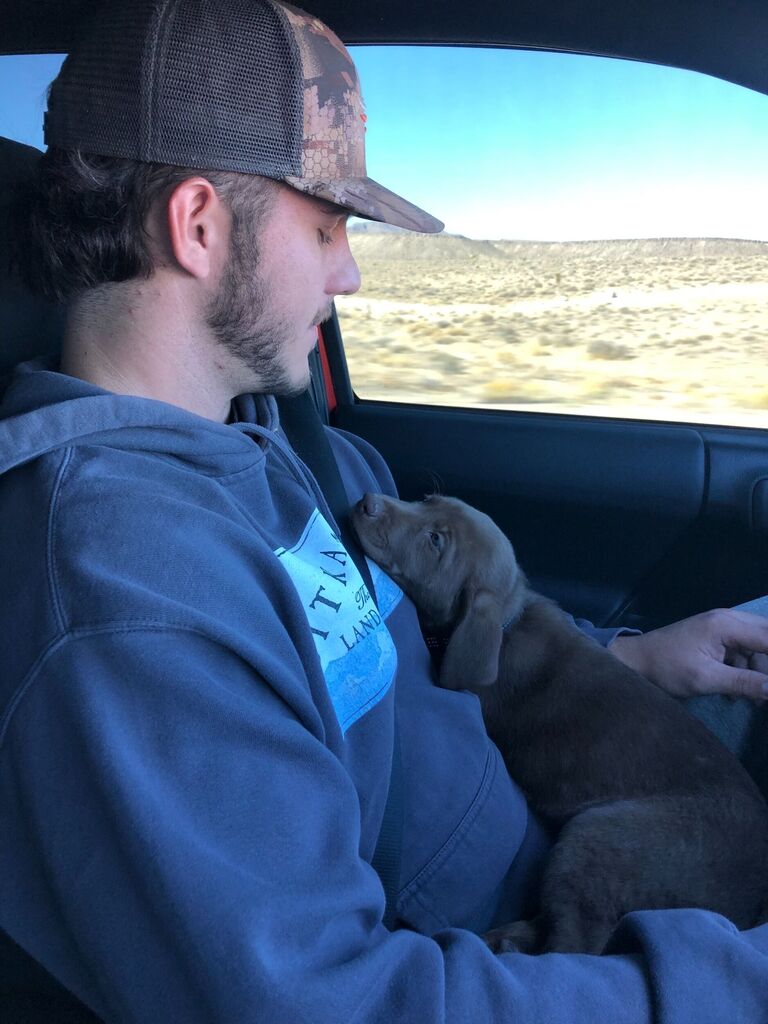 Our very first date we really got to know each other on the 5-hour drive (each way) to pick up our puppy Tilly! 