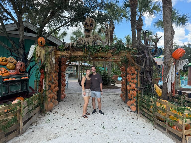 Gator Land 