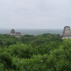 Gallery Photo 6