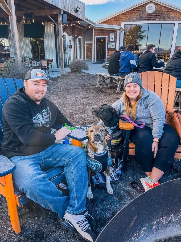 Stable Craft Brewery