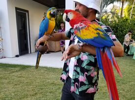 Linda The Parrot Lady - Animal For A Party - Delray Beach, FL - Hero Gallery 3