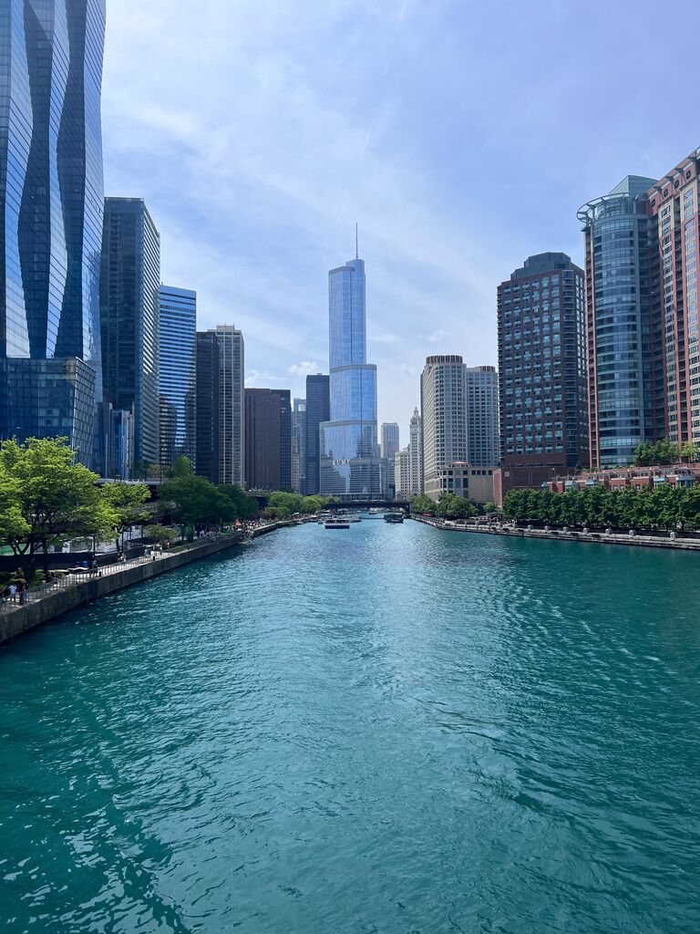 Lizzy and Matt moved to a new apartment in Lakeshore East, Chicago!